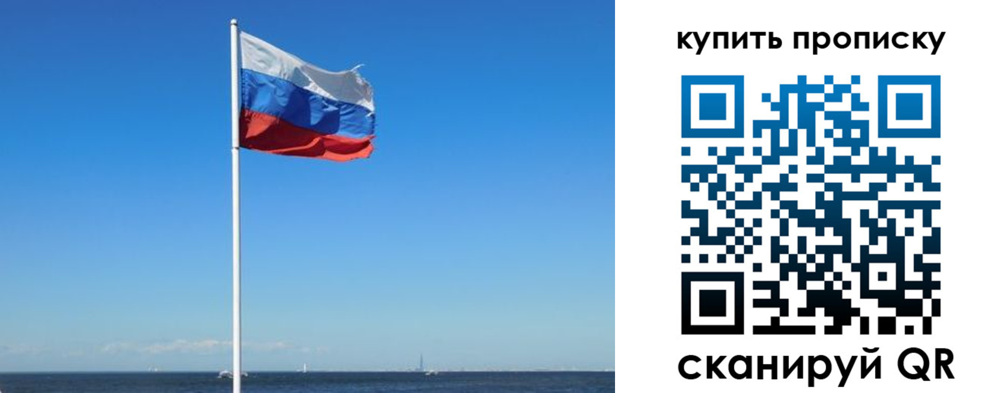 прописка для школы в Электрогорске