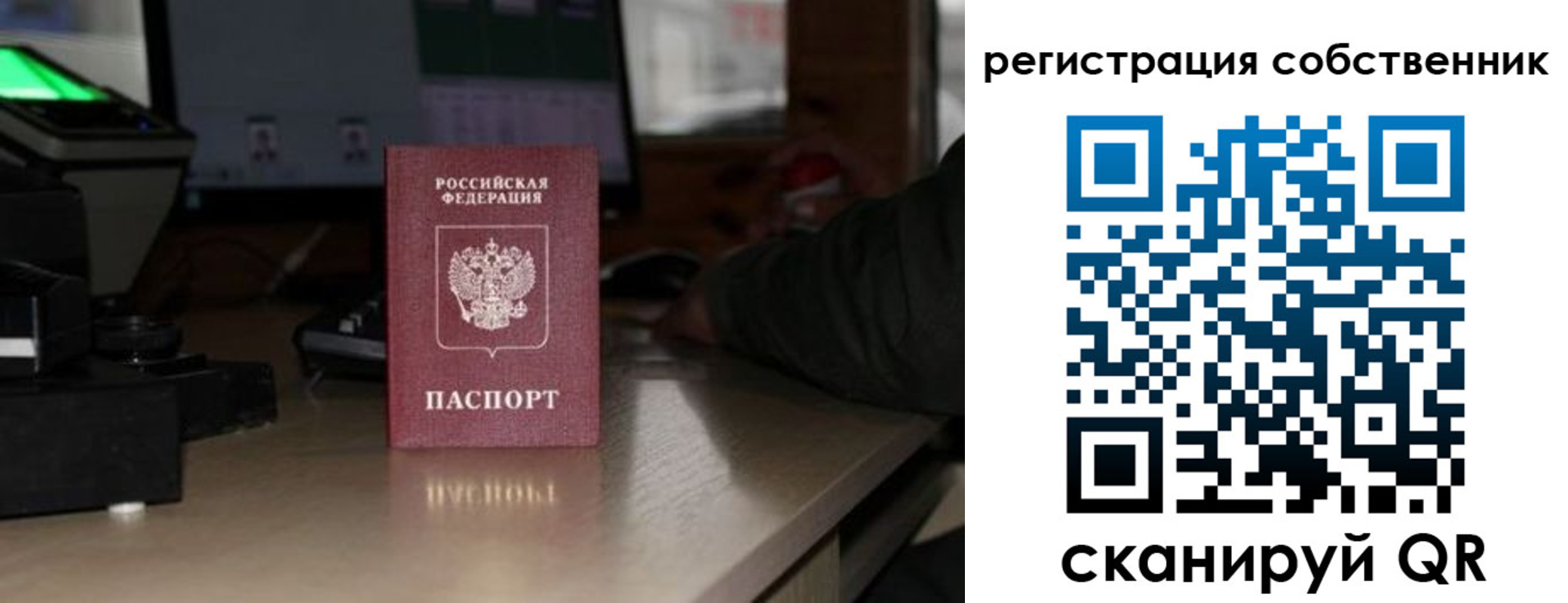 прописка поиск в Электрогорске